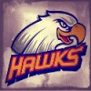 Team's logo