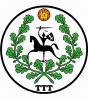 Logo: TTT Boys