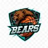 Logo: Siberian Bears Youth