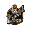 Team's logo